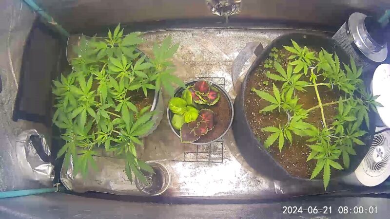 e6b90fd9-fb17-410c-a8e8-9a5c122c1e26