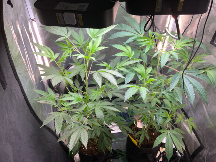 2F188659-AF27-47AA-B3CB-A0B3E629B76F