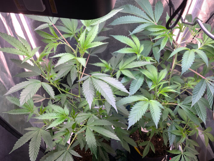 F04C7140-A470-44DA-8560-436BDA4DE545