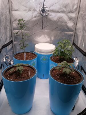 f1d0b58b-776b-401f-b197-6ae8c04e1d4d