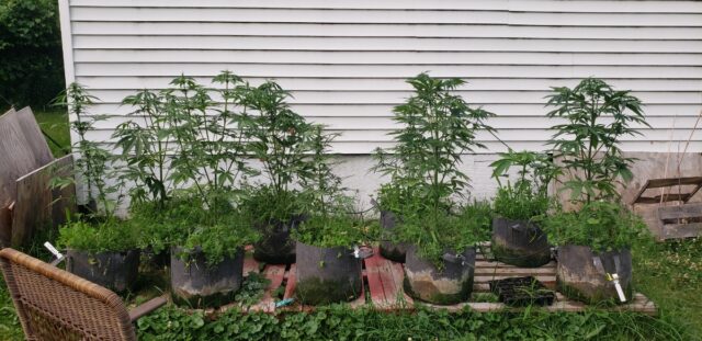 969a4597-b1c3-458b-ab96-1db006bf8539