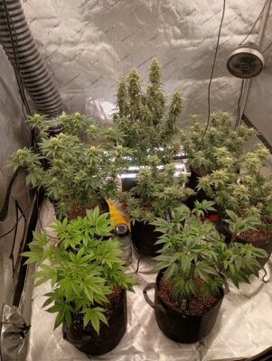 15fb3817-6b4b-49ff-95ef-1b5f563d7343