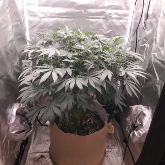 01a4af22-1c93-4b04-a855-f09ae44ab5c6