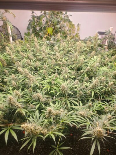 af2ebbe5-2f3c-42cb-b9f5-810ce3f6ed54