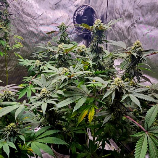 b4b1402b-a325-455b-a461-16a13f007dff