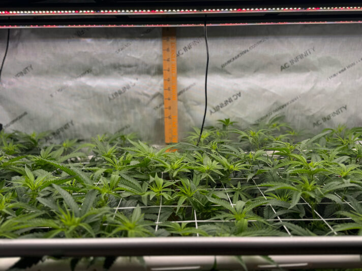 1915227E-33A1-4944-8A03-EC8B44FC28E5