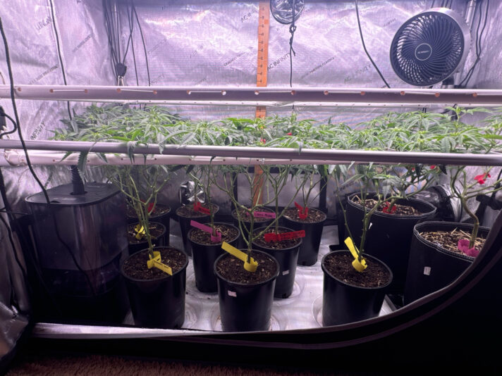 BAF7231A-A318-4F3D-A84A-079804A04F24