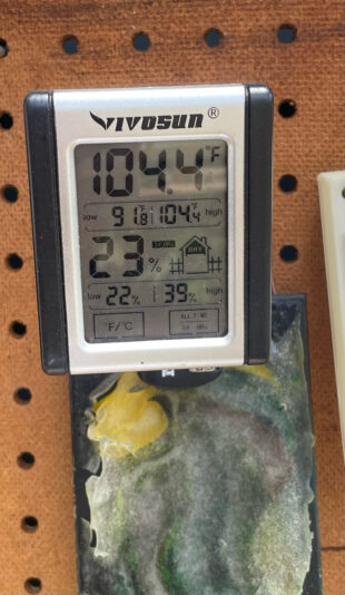 310C6A95-9708-409E-926C-E2B7D2B3067E