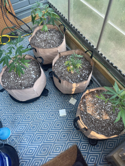 C4E28A79-9D74-4611-A626-780A82D614E0