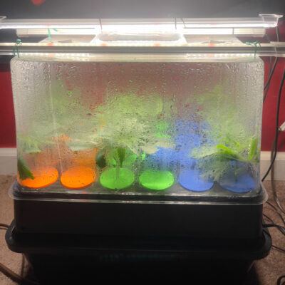 FEADF763-9D94-4B13-A300-B7820C789D33