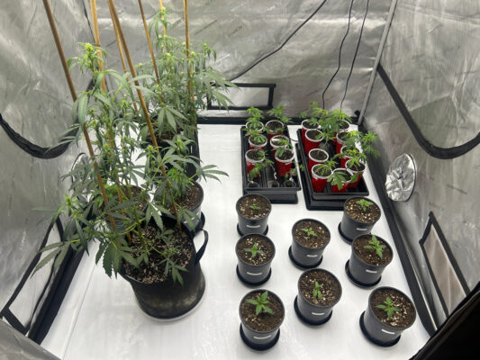 9733687D-8A4C-4540-BF21-7B84AE133D03