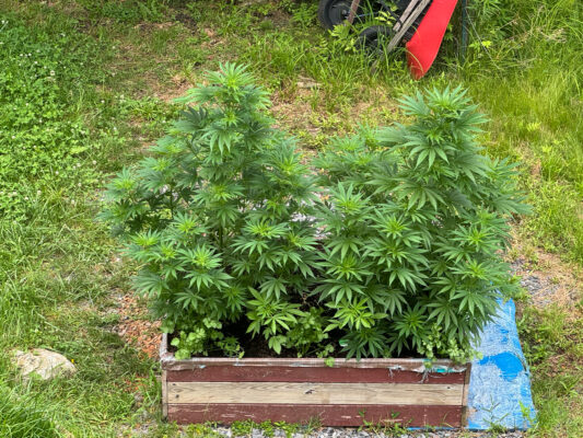 D0A626F9-0B15-42CD-B99C-566242357C7E