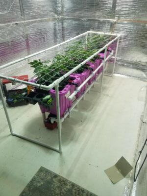 e6730b7c-a5d5-41e4-94e8-db2e9668abca