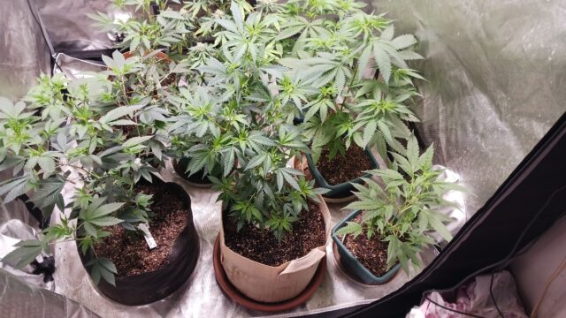 c5d84adc-fae7-4b3d-a72c-f262940df357