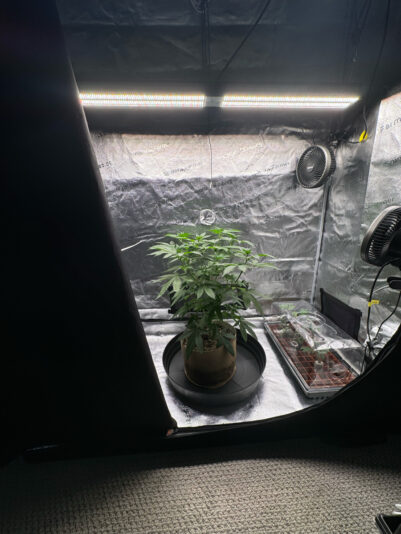 BD8087CA-DD2B-490F-9763-22777E4424AF