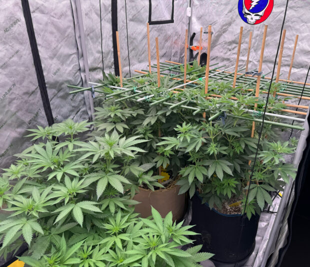 F7954E27-E112-43A3-8F4D-ED7CB32E6E03