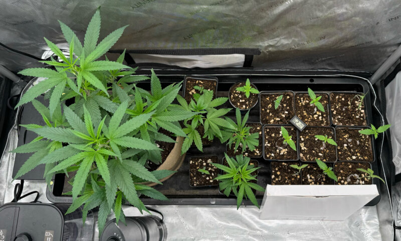 2B2DDD2F-0EDF-421E-B322-F6BE101B10B8