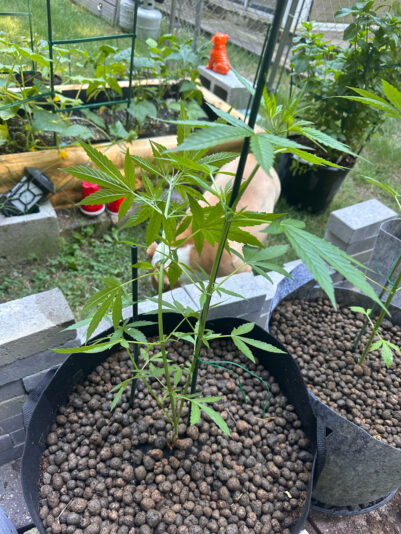 F4AF5322-1424-4A65-9B19-C4505533A0BE