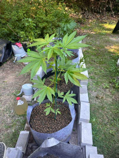 EEB4F47D-8673-4AA6-BB61-644A34A99FD2