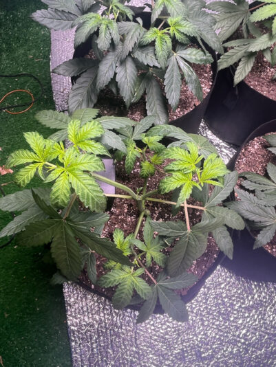 90548772-8548-404D-994F-5731B3662F75