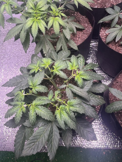 EA0C9879-4AA8-48F7-BD4D-275B1A2264E1