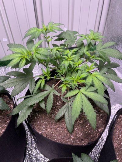 F7249C6A-B17C-4AFB-A9C0-48A089DD6C06