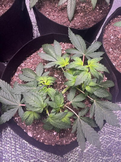 6D248F1C-E7C6-440E-BD3A-563A14CF9267