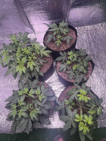 1CC578FC-507F-4001-A25A-C01470F96814