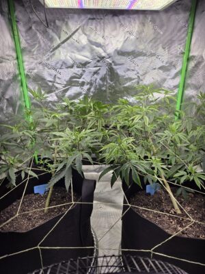 c8305124-4afb-47c1-ba51-2855c912d52c