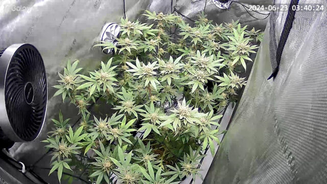 1AC510AC-C8B8-43CC-9184-F422942810E9