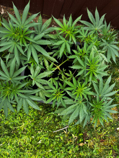 248D1701-B983-4CA0-9101-45EDD17D2480