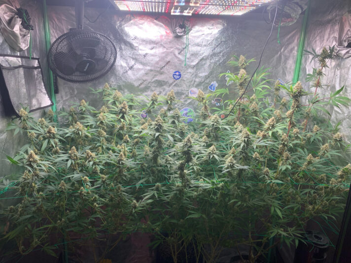 0F9DF545-254A-4859-9296-CE08338752F5