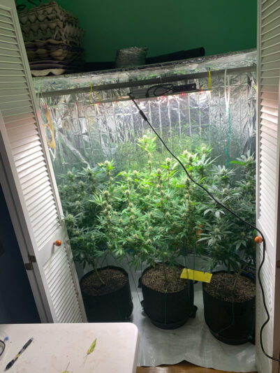 9997ACF7-C191-4E7D-967F-2FAEB170C959