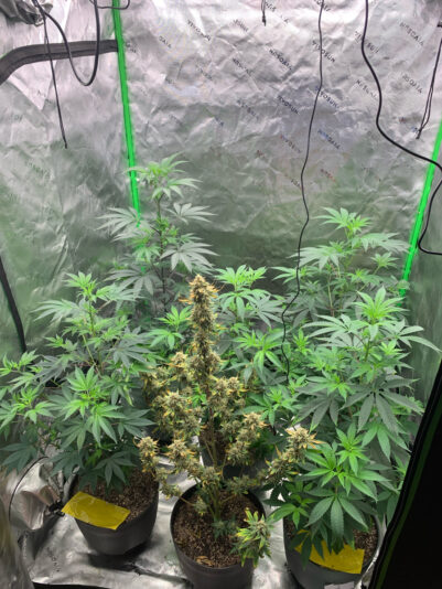 E181FE08-917B-4142-9D83-9FC6C0EBCE4C