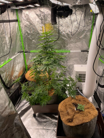 188938A6-4FE4-4C98-840E-7A1F1DC805C5