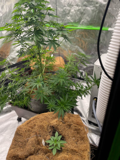 5E2A3373-CDD1-4B2C-A066-C1D70BAC173D