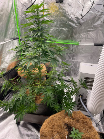 88EB8DB2-9825-4014-AE72-9ECF29369F5B