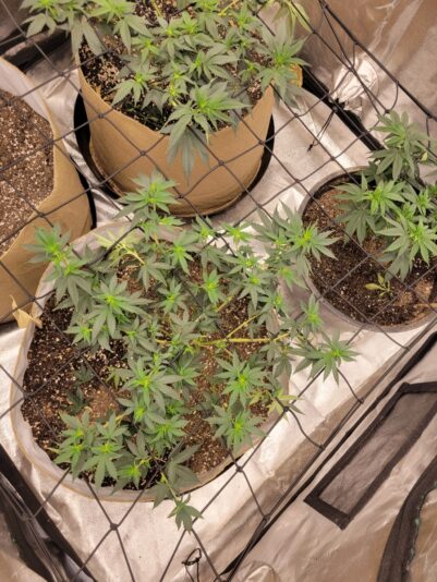 47605b48-e13e-428d-870a-7bb1ea4eec47