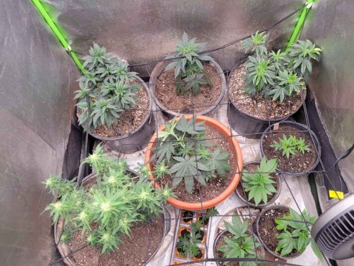 7ef35b22-379b-43e2-9302-7b7ee114443f