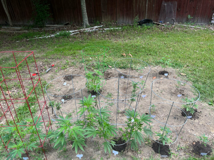 0A0B124C-2302-4186-AB4A-71293975B141