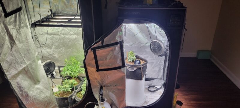 fa1d0ac7-47af-4bd7-ba43-6e1d52dbced7