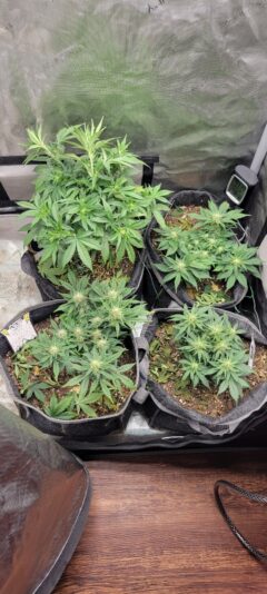 1ebcb702-a43e-4158-9bd0-f566a8b2128f