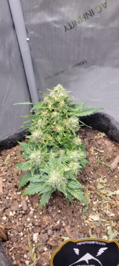 94ce9007-70bd-477b-9ceb-660d3f73cef1