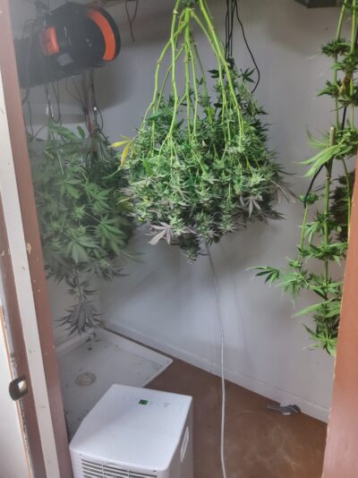 73374c0f-6e11-441b-a013-deed3c7721a3