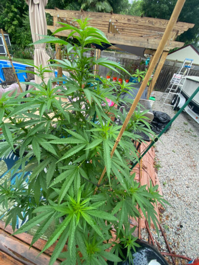 B1D87616-78DB-4EC6-8979-4448BB952A4A