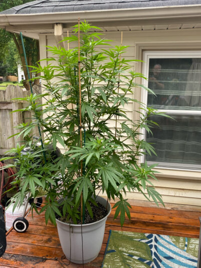 ED32F001-D5DC-4520-9811-0EC98F51BCEC