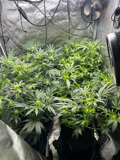 F96F7C34-F727-4F61-A0C1-BCFBC5112D44