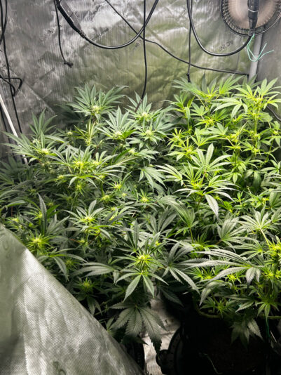 66D964E2-02DB-4188-9212-82980A3DA45D