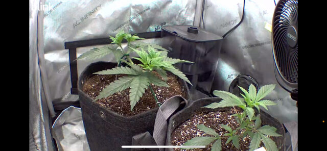 52B410FC-5DB0-4702-B698-55C37EC941D0