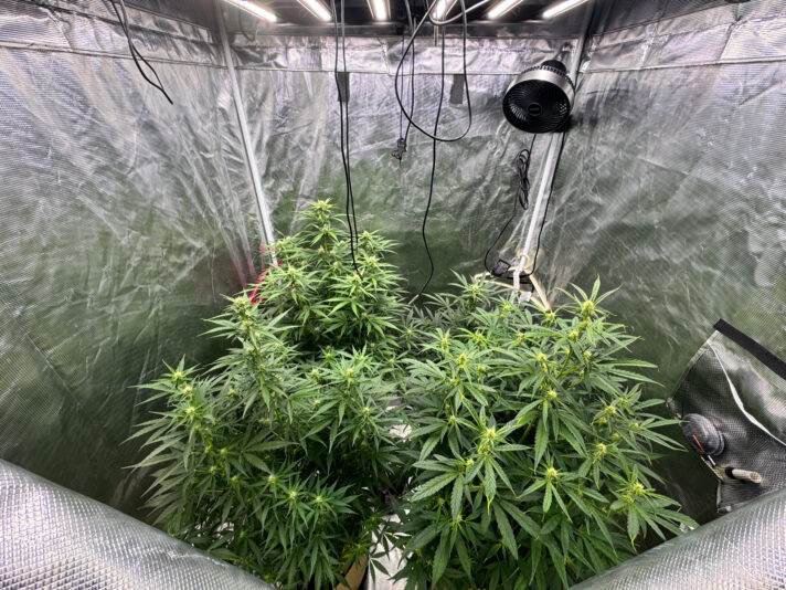 10ABC0CD-37A1-44BA-A2AD-F4D2D2586EA2